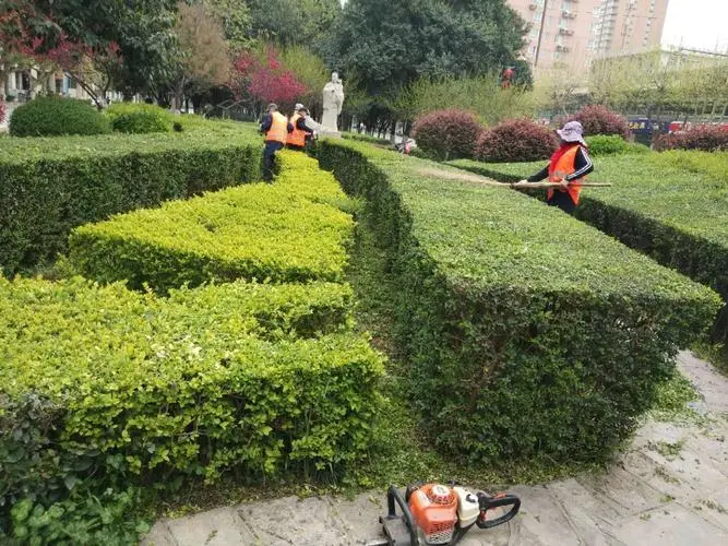 利川城市道路两边的绿化归谁管