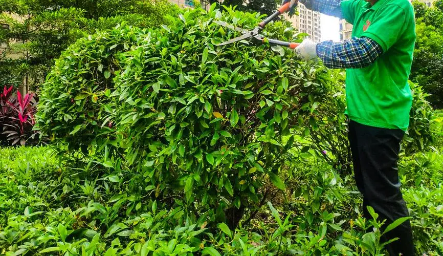 遵义小区最美绿化工程