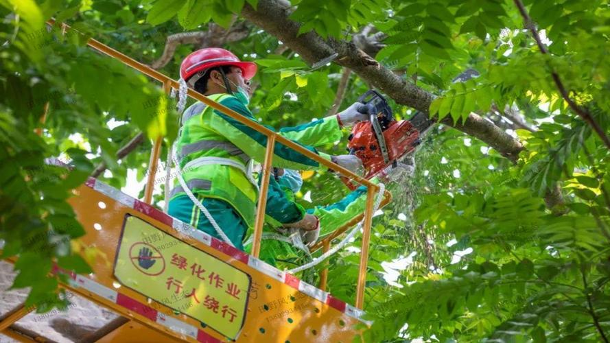 大墩门公路沿线绿化工程