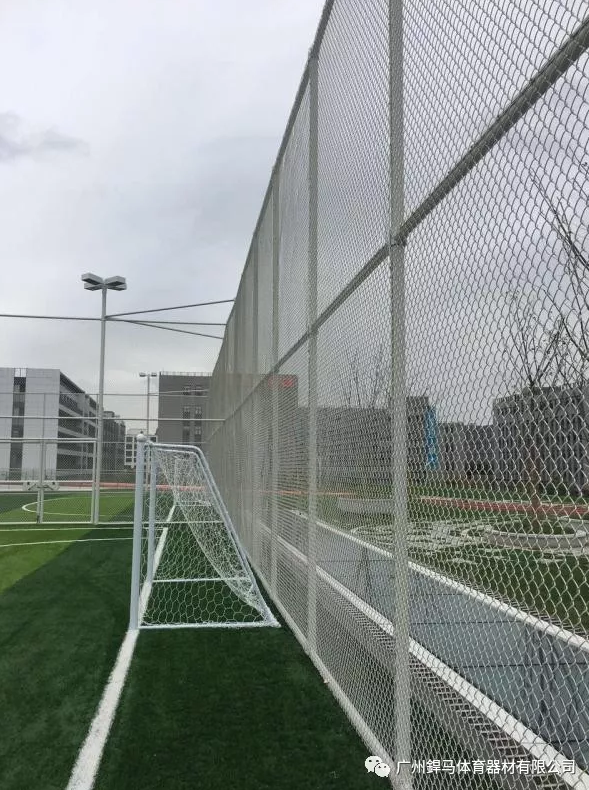 1550651542890676.png 8.png